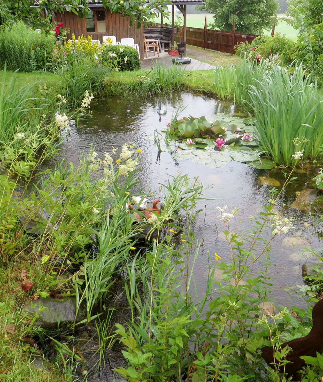 Gartenteich mit Gartenhaus