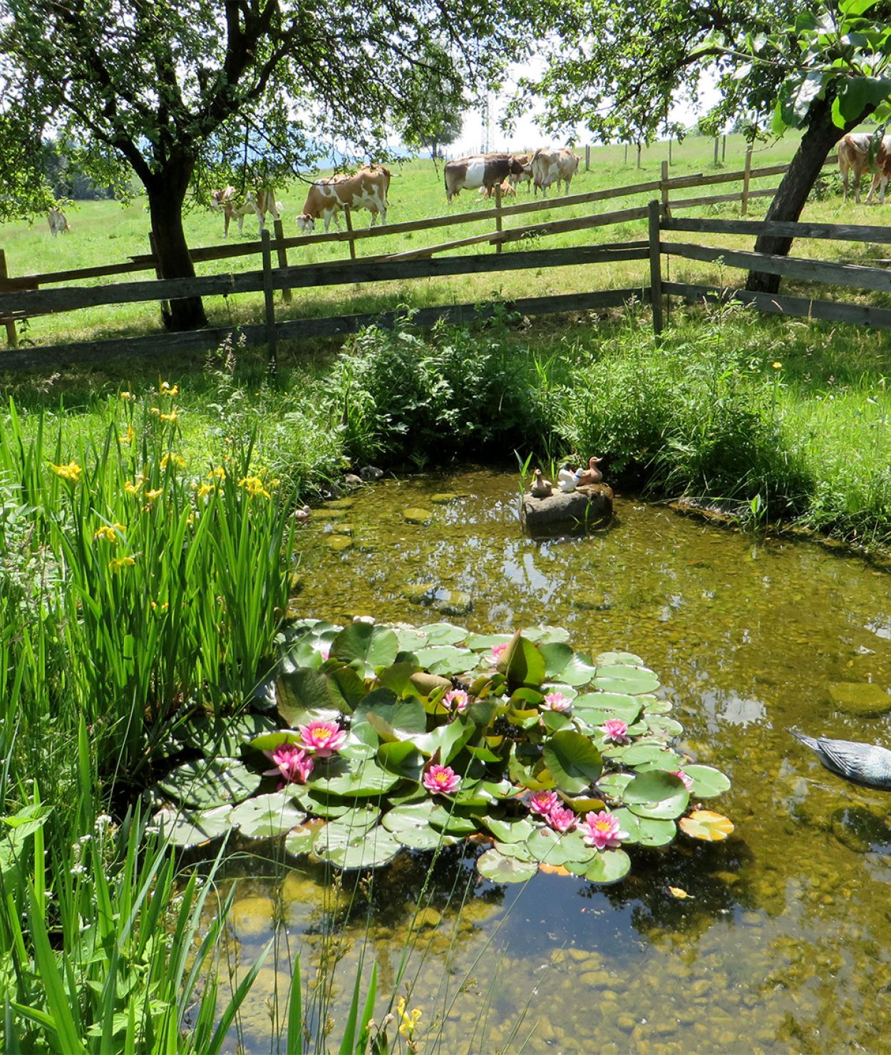 Der Danelehof in Seeg, Allgäu