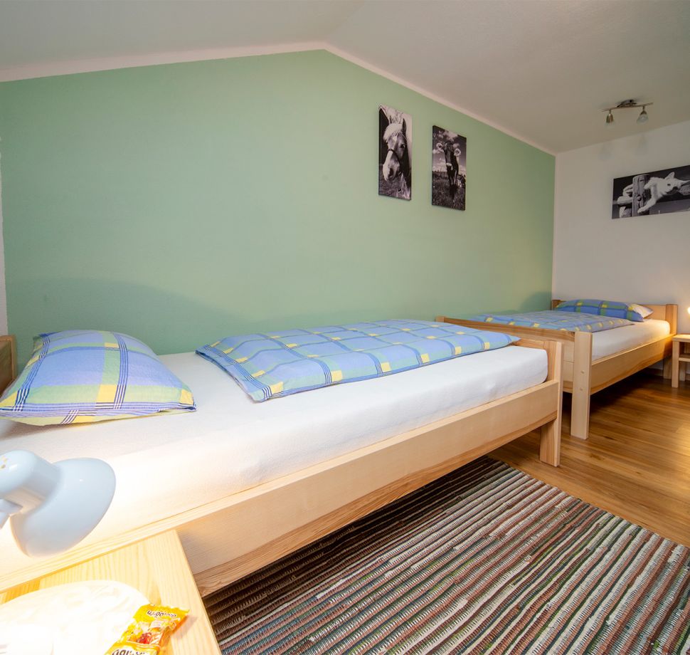 Ferienwohnung Seeblick, Danelehof in Seeweiler bei Seeg